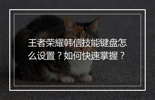 王者荣耀韩信技能键盘怎么设置？如何快速掌握？