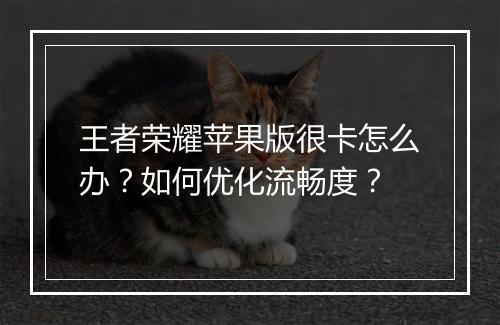 王者荣耀苹果版很卡怎么办？如何优化流畅度？